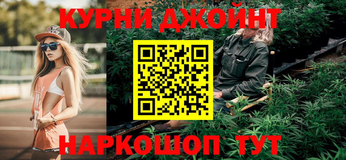 Конопля сатива Рославль